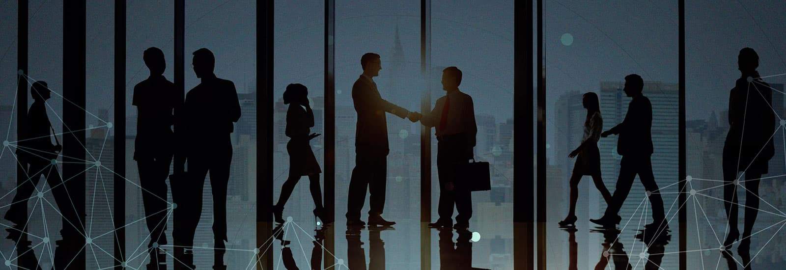 Join Our Team at Hometree